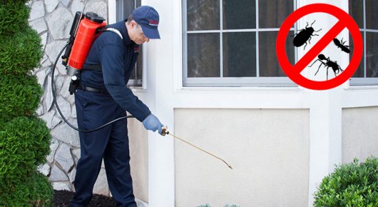 Silvan Dezenfeksiyon böcek ilaçlama ve haşere kontrolü — ilaclama-tr.com